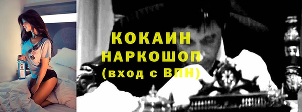 стафф Киреевск