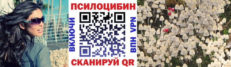 гидра сайт  где можно купить наркотик  Городище  Псилоцибиновые грибы Psilocybe 