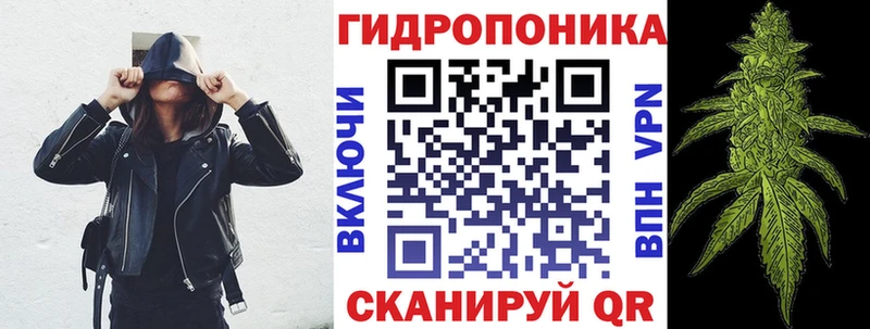 Каннабис OG Kush  Городище 